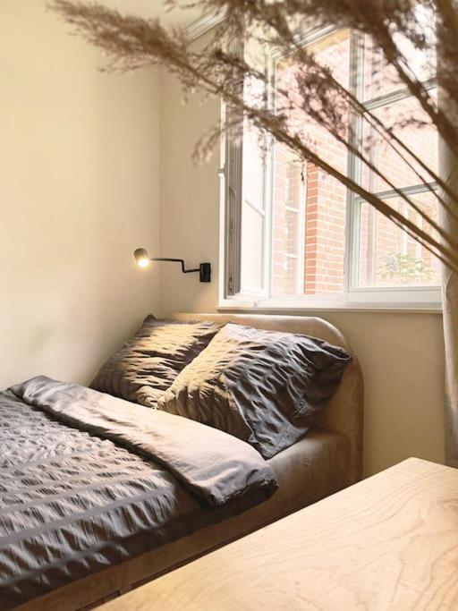 Natural Apartment In The City Center - Old Town Wrocław Exterior foto