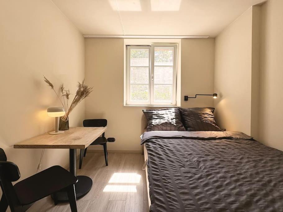 Natural Apartment In The City Center - Old Town Wrocław Exterior foto